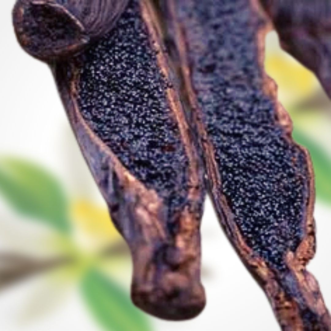 vanille de Madagascar bio