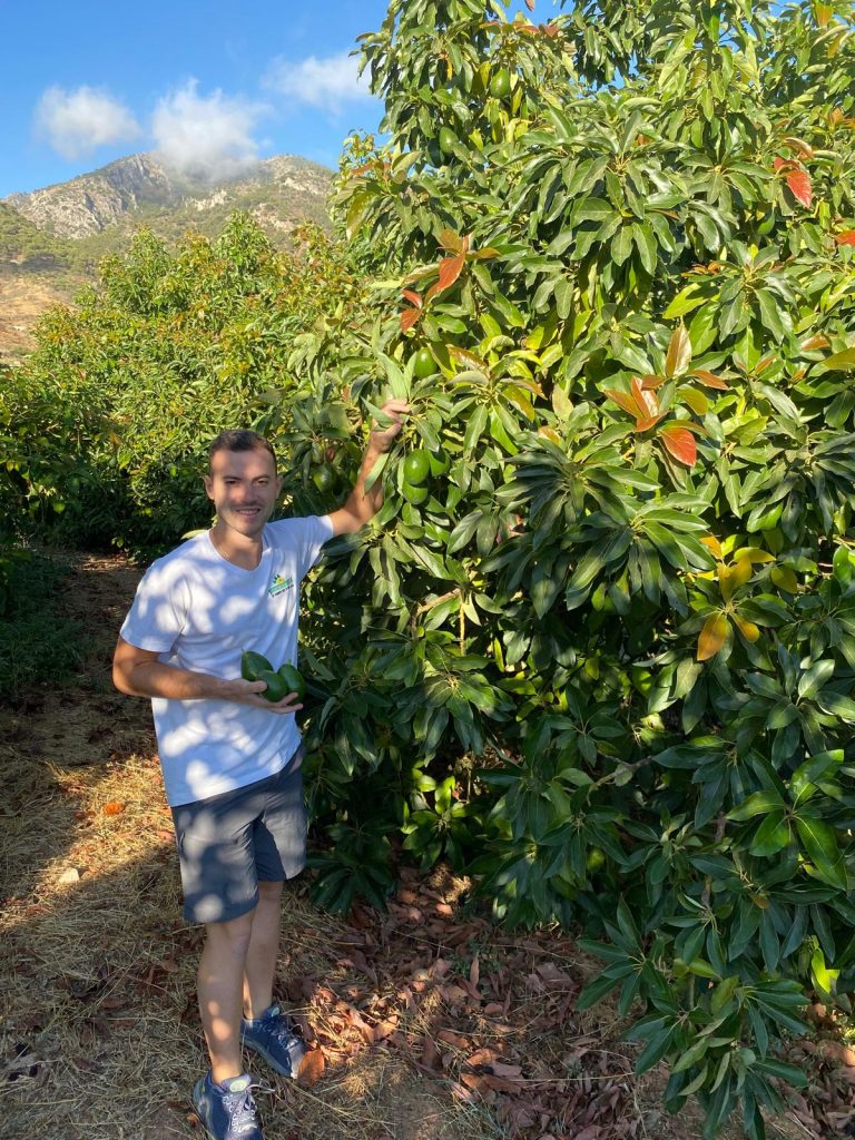 producteur agrumes et fruits exotiques bio espagne