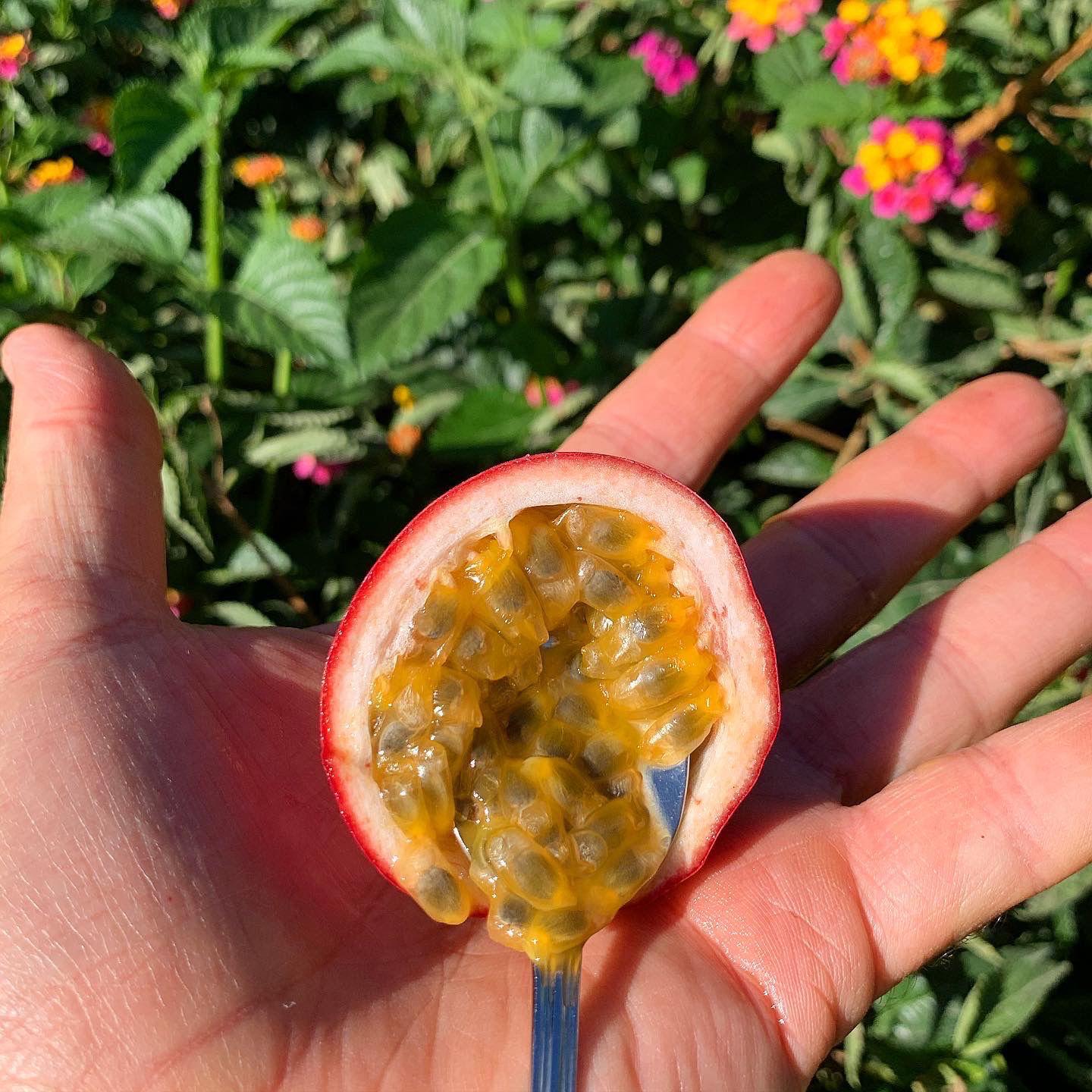 fruit de la passion bio espagne